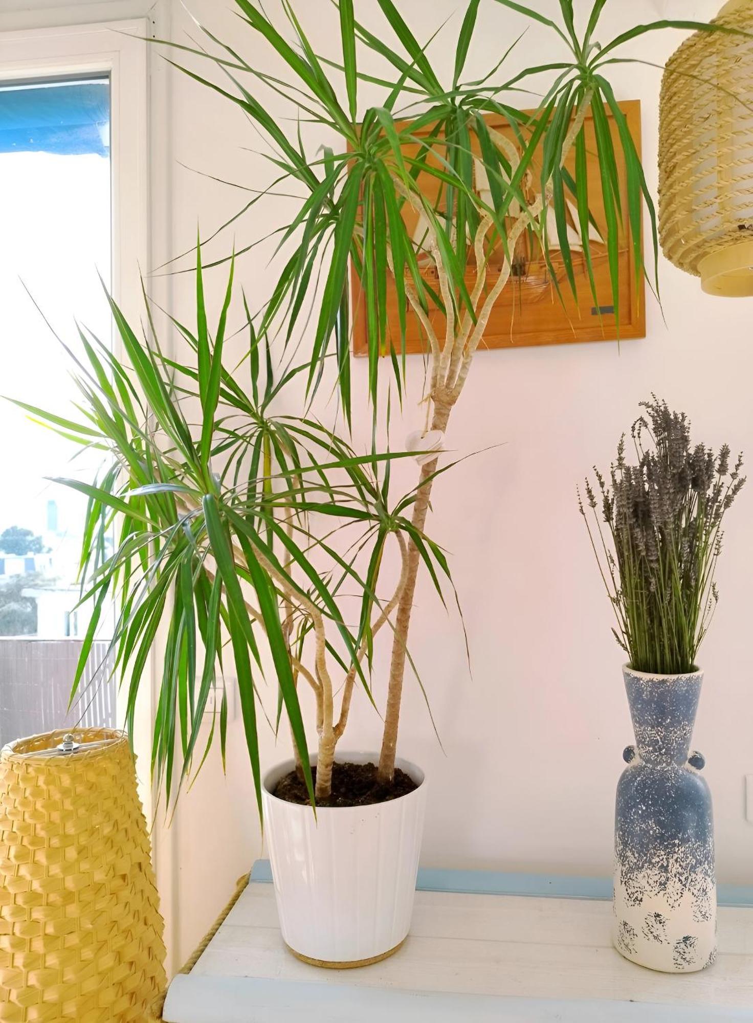 Charmant Appartement Lumineux - Dernier Etage Avec Balcon - Proche Centre-Ville ナント エクステリア 写真